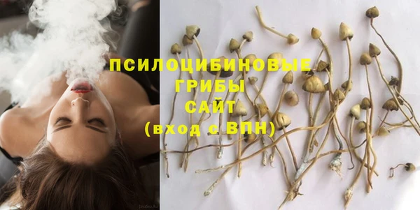 стафф Гусев