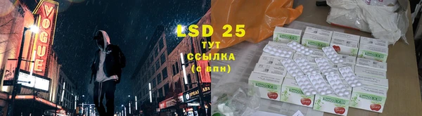 стафф Гусев