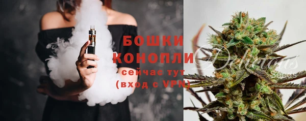 стафф Гусев