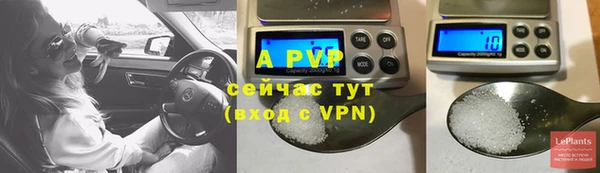 стафф Гусев