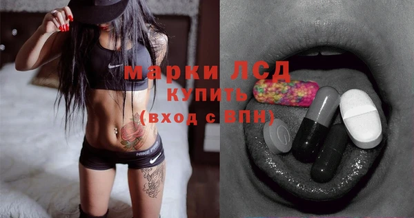 стафф Гусев