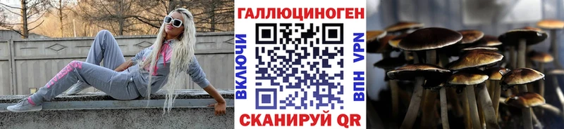Купить  Благовещенск  Галлюциногенные грибы Cubensis 